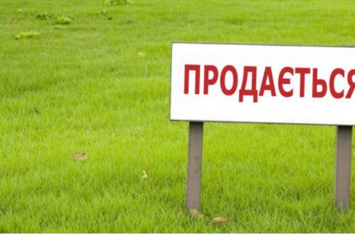 Названа цена гектара при продаже земли в Украине