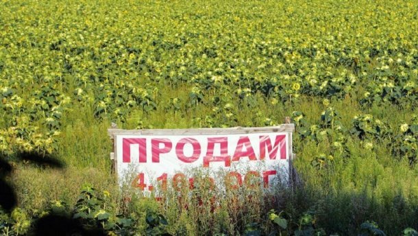 Верховная Рада может 14 января рассмотреть законопроект  об обороте земель сельхозназначения