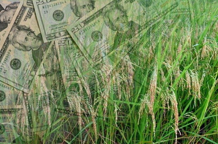Фракція ПП «Слуга народу» готова до блокування трибуни ВР заради закону про ринок землі