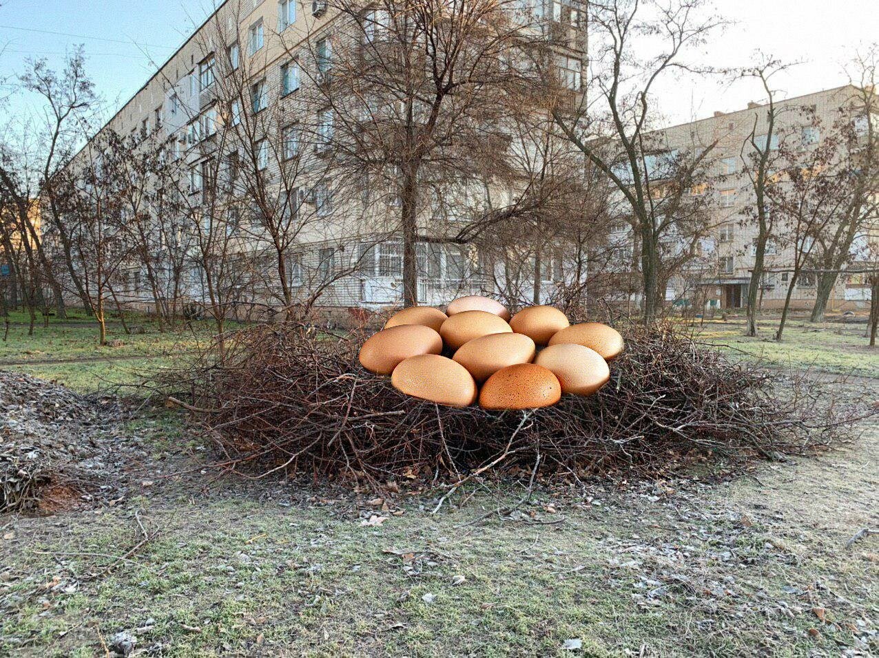 Бердянск в опасности! Обнаружены новые формы жизни! (фото)