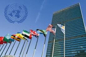 Бізнес токмачан ООН підтримає своїми грантами