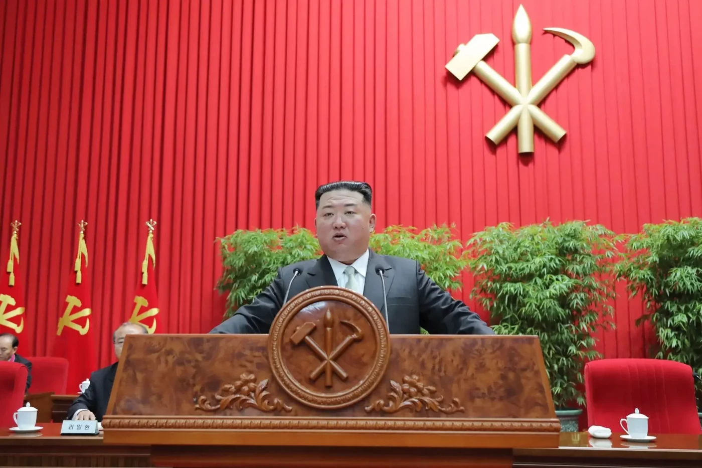 Північна Корея бачить нові можливості в «неохолодній війні», фото-1