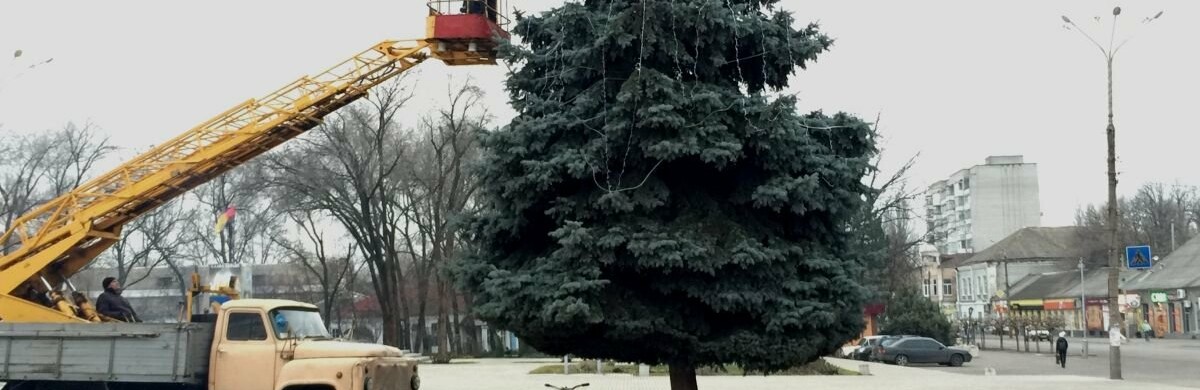 У Токмаці розпочали наряджати міську Новорічну ялинку