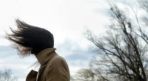 На Рождество в Запорожской области ожидают ветреную и холодную погоду