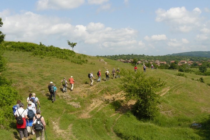 2020 рік  в Україні національна туристична організація проголосила роком сільського туризму