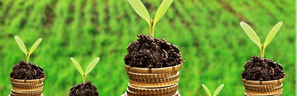 Визначено напрямки кредитування в агропромисловому комплексі України