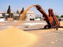 У сільгоспвиробників гарантовано на 2 мільярда гривень закуплять зе... У сільгоспвиробників гарантовано на 2 мільярда гривень закуплять зернові