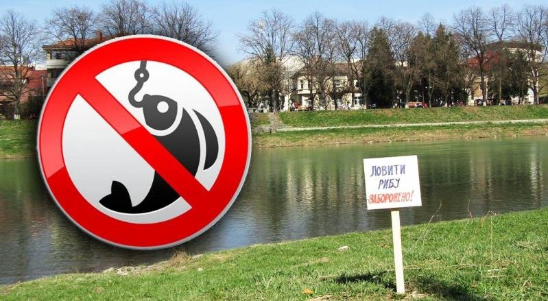 З 1 квітня у Запорізькій області вводиться тимчасова заборона на вилов риби