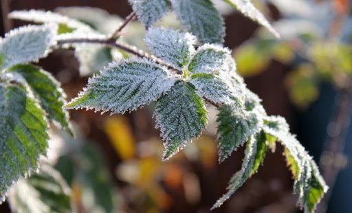 Запорізьку область очікує зниження температури