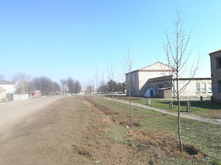 Село Нове Токмацького району стане красивішим Село Нове Токмацького району стане красивішим