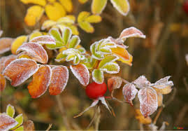 В октябре украинцы уже познакомятся с  первыми заморозками